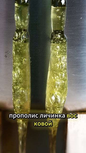 БЕЗ ЭТОГО НЕЛЬЗЯ #пчеловодство #пчелы