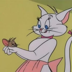 Tom & Jerry | Tom's dinner plans ruined