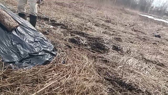 Привет от нас с НиколаемПрогулялись до дачи.