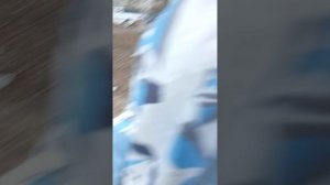 Гуляем на улице.