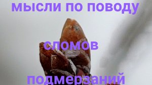 мысли по поводу грызунов, сломов,  и подмерзанийий .