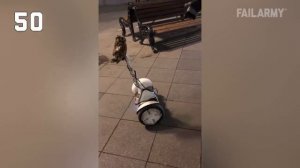 Приколы смотреть онлайн, юмор