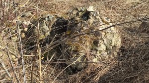 Разрушенный ДОТ номер 13 и ДОТ номер 12. Яльгелево. Ленобласть. Дата 12 апреля 2026 г.