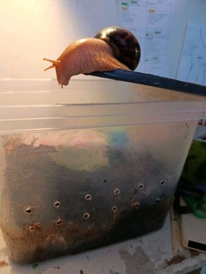 Сейчас такое раскажу!!