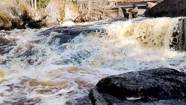 Весенний водопад на месте бывшей мельницы#туризм#водопад#река#природа