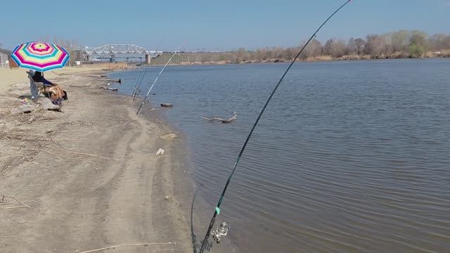 Красивые места на реке.Лето в начале апреля.