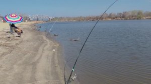 Красивые места на реке.Лето в начале апреля.