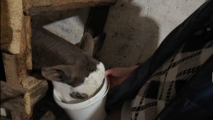 Придётся все по новой делать! Жизнь в деревне