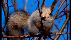 Чем пахнет весна