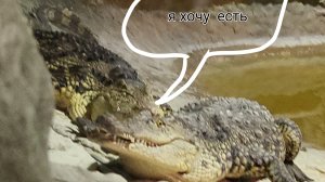 я с сестрой в океанариуме!🐬