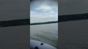 12-04-2026 лод.мотор Таяма 5.8