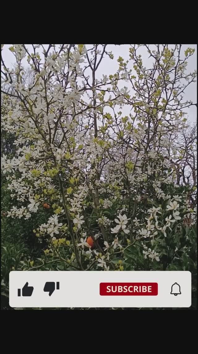 Пасхальное утро в Абхазии