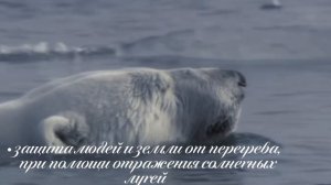 Творческое задание для участия в конкурсном отборе в профильную смену «Мир открытий» в МДЦ «Артек»