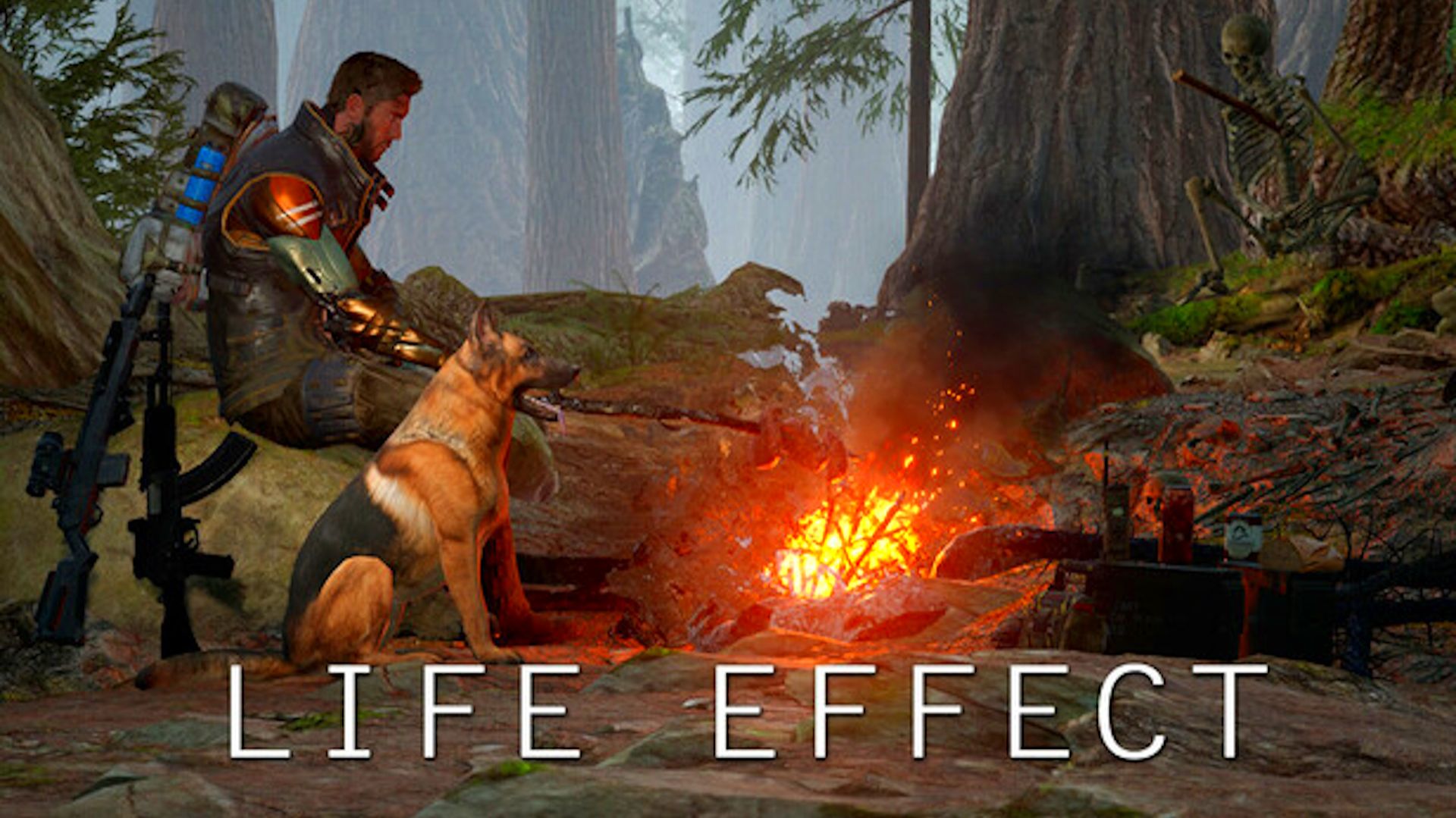 LIFE EFFECT SURVIVAL  АКТУАЛЬНЫЙ РАБОЧИЙ ПРОМОКОД К ИГРЕ  КАК ВВОДИТЬ И ГДЕ