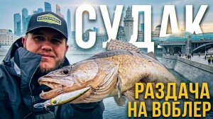 ГОРОД ПОРАДОВАЛ 😎👍 ПОПАЛ на ВЕССЕННИЙ ЖОР СУДАКА  🔥