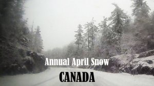 Апрельский снег - КАНАДА
