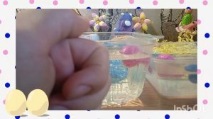 Пасхальный обзор  на яйца растущие в воде, всех с светлой пасхой.