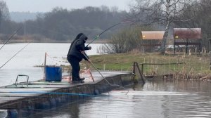 Поимки форели !!!