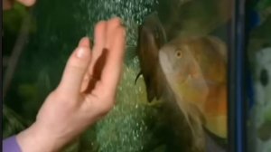 Зверинец. ералаш 679