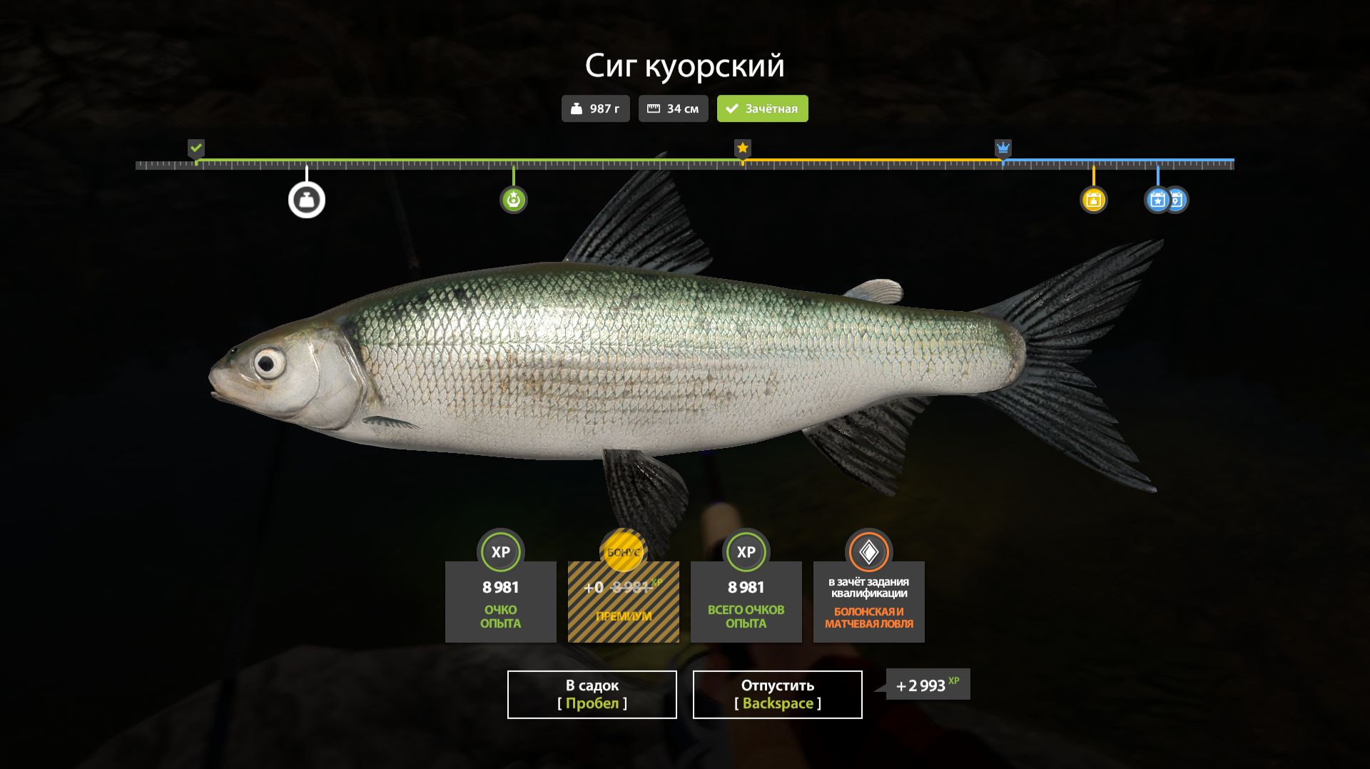 #102 СИГ КУОРСКИЙ  ▶ Русская рыбалка 4