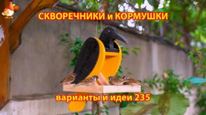 Скворечники и кормушки своими руками для птиц (235) 🪚🪛🔨 Идеи для дачи и сада пошагово ❣️