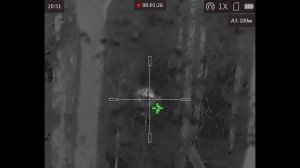 Медведи идут один за другим! Два точных выстрела с вышки. Охота на бурого медведя.