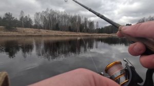 Окунь на Волге