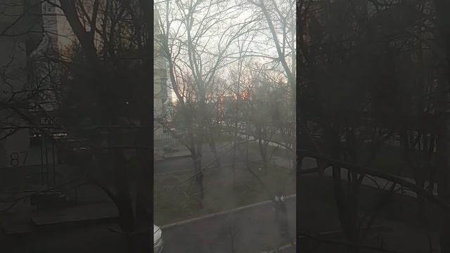 информационная служба |