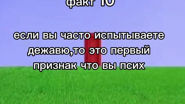 факт 10