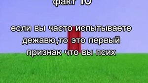 факт 10