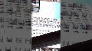 ПРЯТКИ от SCP