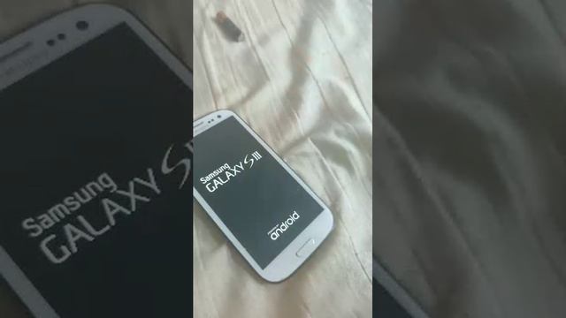 трансляция прямого эфира истории