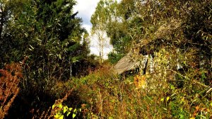 Осень деревни...