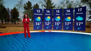 Настоящая весна: синоптики обещают потепление к выходным в Москве.