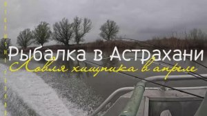 Рыбалка в Астрахани. Хищник в апреле