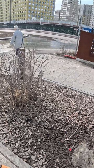 Богу - хвала, ближнему - помощь и защита, а не ту срань #велопоездка #велосипед #Тюмень