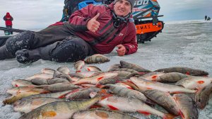 ДИЧАЙШИЙ ЖОР ЗДОРОВЕННЫХ ОКУНЕЙ ПО ПОСЛЕДНЕМУ ЛЬДУ НА ОБИ. Рыбалка 2026