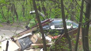 12 апреля 2026 года  - ещё один "серый возчик"