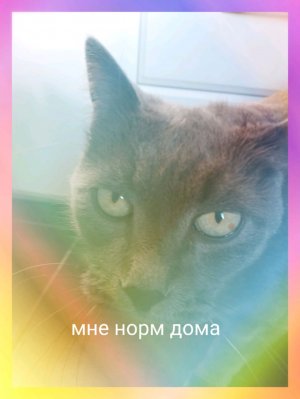 тайники на сервере