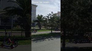 "Солнечная поездка". ФТ Сириус, апрель 2026 года