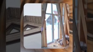 1000055835.mp4 (Собака наблюдает за устройством лестницы на 2-ой этаж в доме А-фрейм)