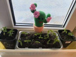 Пробный эфир из деревни