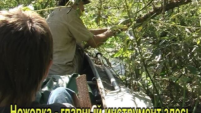 Навстречу солнцу. Короча 2009