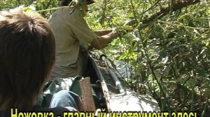 Навстречу солнцу. Короча 2009