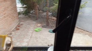 светлая пасха в вольном зоопарке