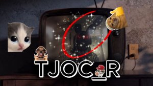 TJOK_R ИГРА ТА НорМ ( НО КАК ПРОЙТИ (ВОТ ВОПРОС))