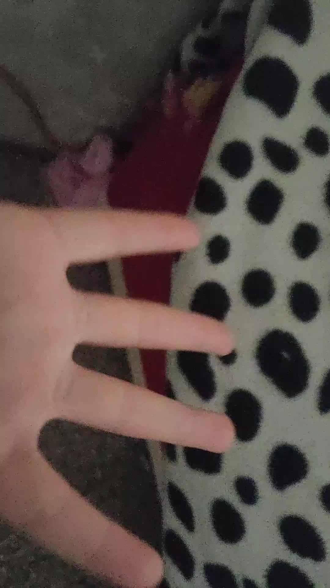 🏡Перистоновка домика Лаки доги🐶