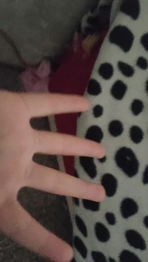 🏡Перистоновка домика Лаки доги🐶