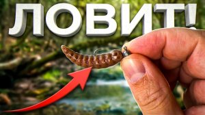 ЭТИ ЛИЧИНКИ ЛОВЯТ ГОЛАВЛЯ когда ДРУГОЕ НЕ РАБОТАЕТ 🔥 КАК ЛОВИТЬ на ФОРЕЛЕВУЮ РЕЗИНУ❓