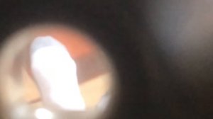 Ноги через телескоп